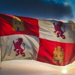 Bandera de Castilla y León