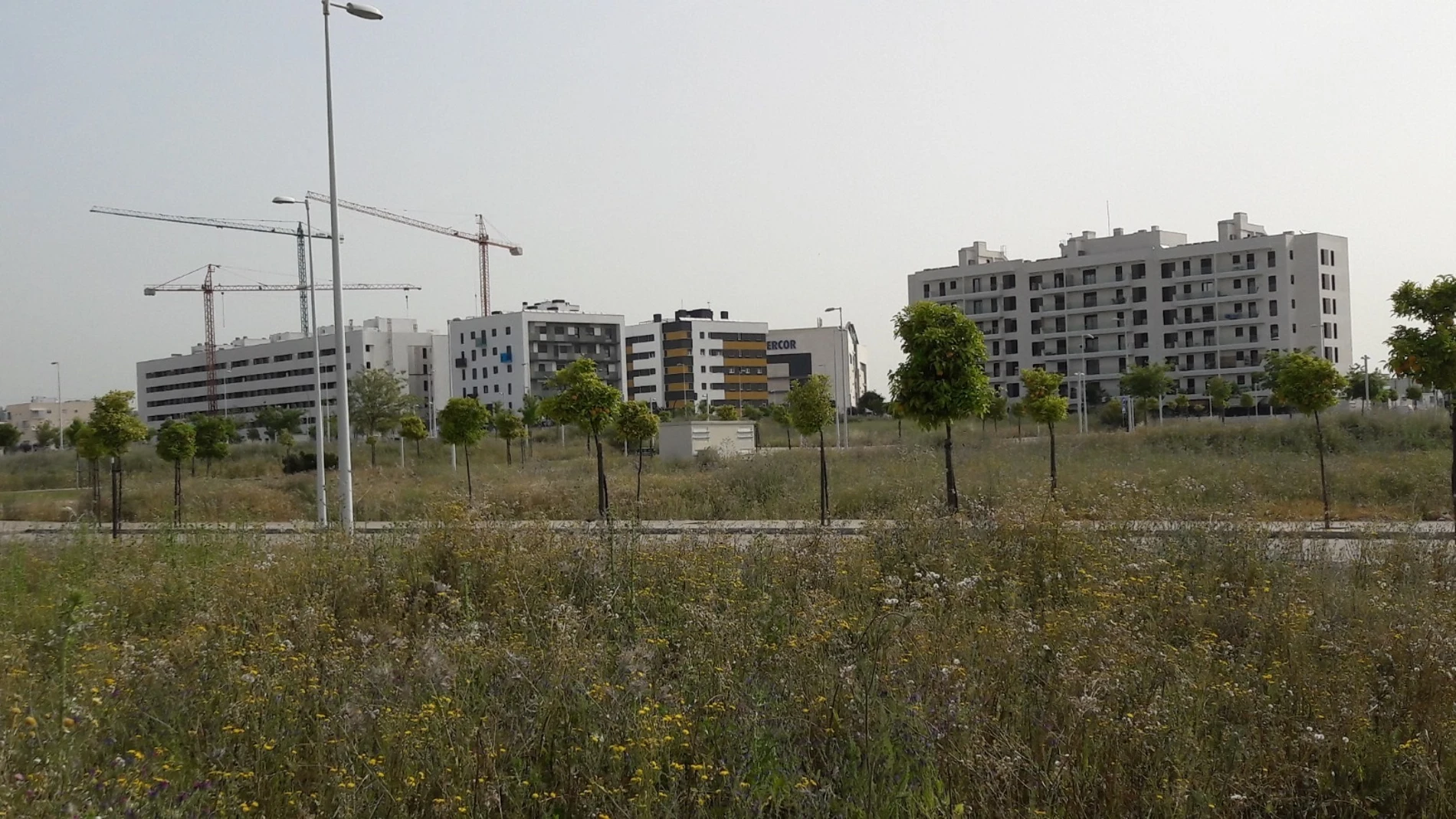 Un «atajo» legal en Andalucía para facilitar la construcción de viviendas