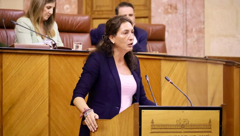 Cisjufi Np Loles López Defiende Los Cambios En El Sistema De Dependencia En El Parlamento: Son Necesarios Para Agilizar Los Plazos Tras 18 Años Sin Funcionar
