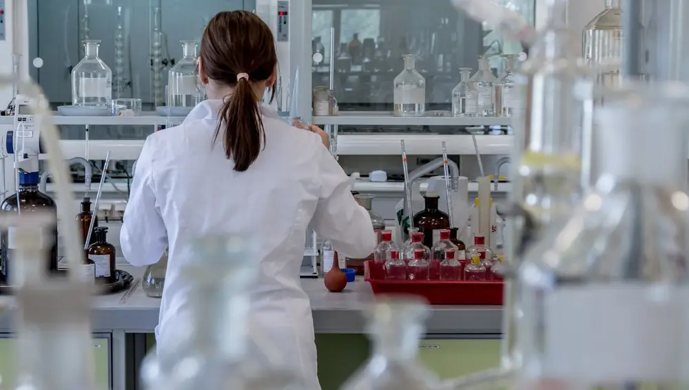 Investigación