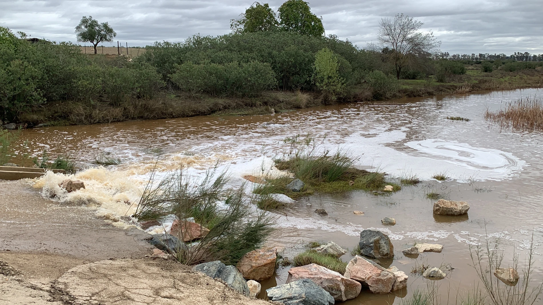 Río Guadiamar