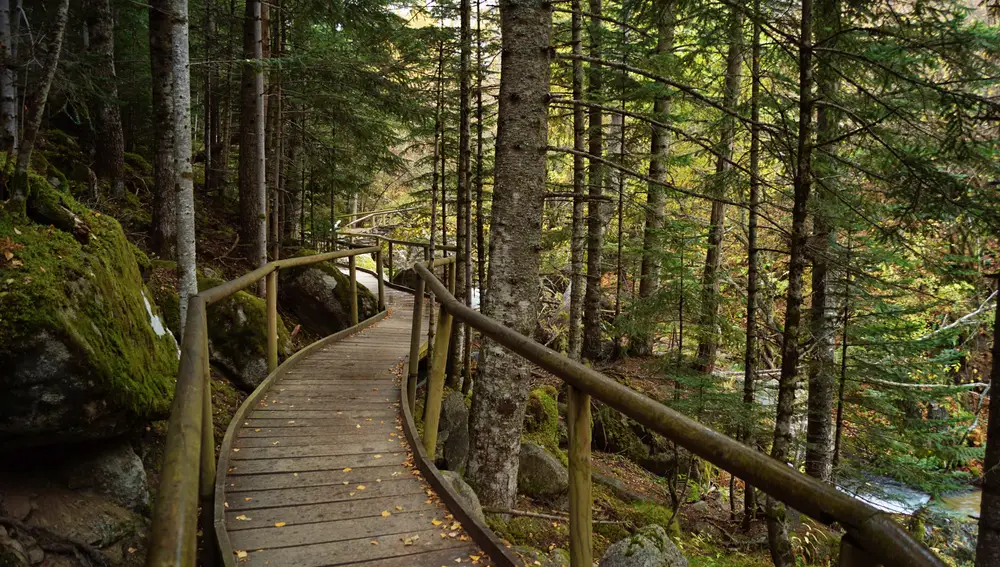 Parque Nacional de Aigüestortes y Estany de Sant Maurici, Pirineos