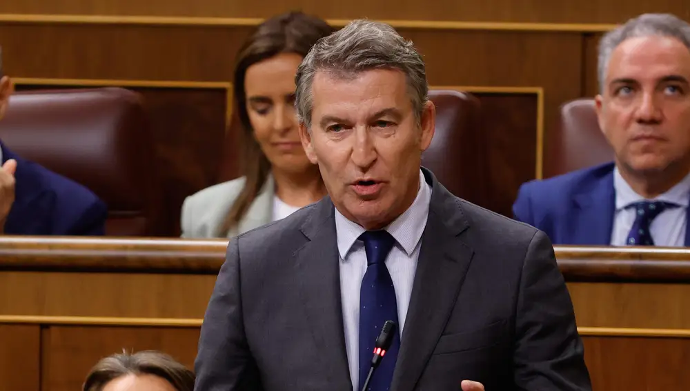 el presidente del PP, Alberto Núñez Feijóo, durante una sesión de control al Gobierno, en el Congreso de los Diputado.
