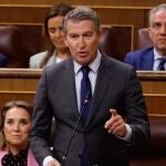  el presidente del PP, Alberto Núñez Feijóo, durante una sesión de control al Gobierno, en el Congreso de los Diputado.