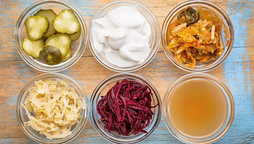 Alimentos fermentados
