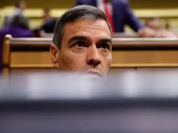 Pedro Sánchez en un pleno del Congreso de los Diputados. Pedro Sánchez en un pleno del Congreso de los Diputados.