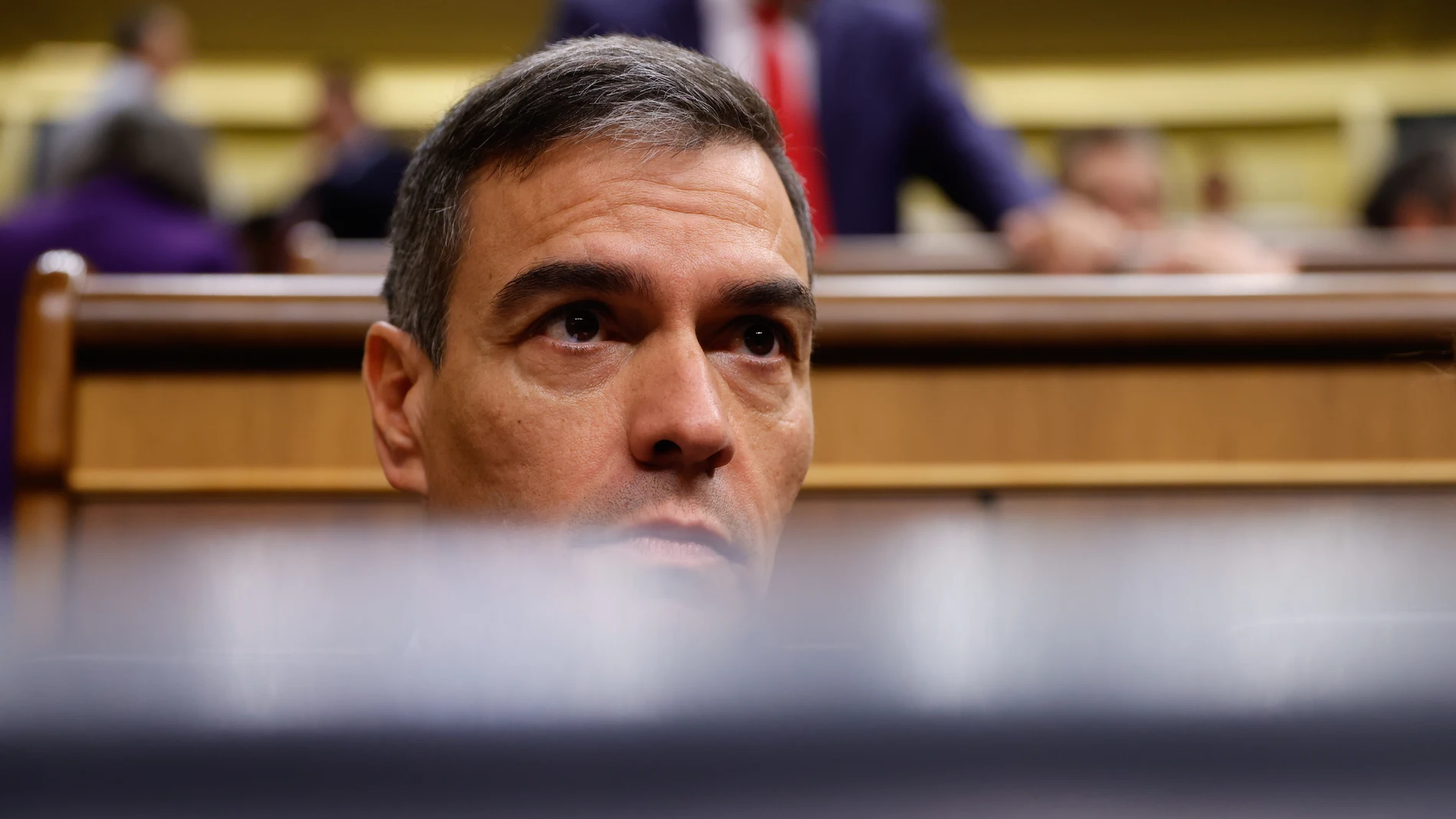Pedro Sánchez en un pleno del Congreso de los Diputados.