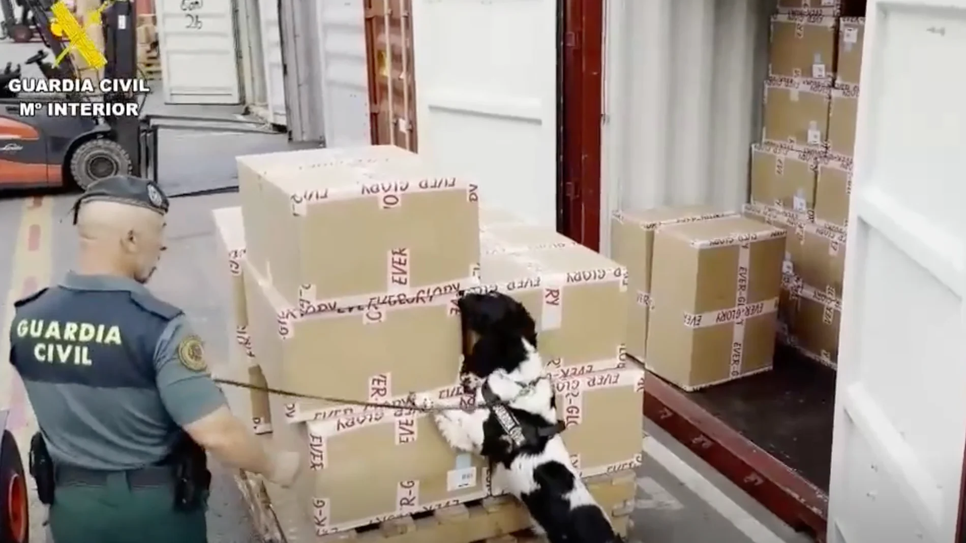 La Guardia Civil condecora al perro que detectó 800 kg de cocaína en Puerto de Barcelona