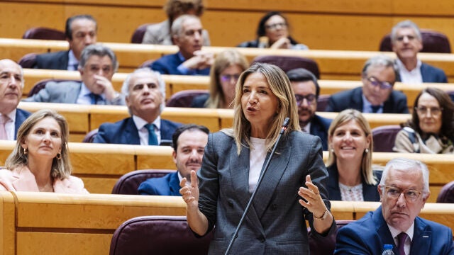 Sesión de control al Gobierno en el Senado