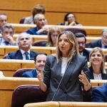 Sesión de control al Gobierno en el Senado