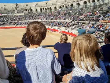 Una propuesta de ley en Francia pone en riesgo las corridas de toros Una propuesta de ley en Francia pone en riesgo las corridas de toros