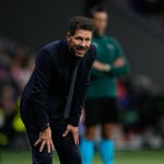 Atletico de Madrid v LOSC Lille - UEFA Champions League 2024/25 League Phase MD3