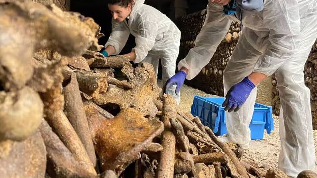 Últimos días para visitar las Catacumbas de París antes de su cierre por reformas hasta la próxima primavera