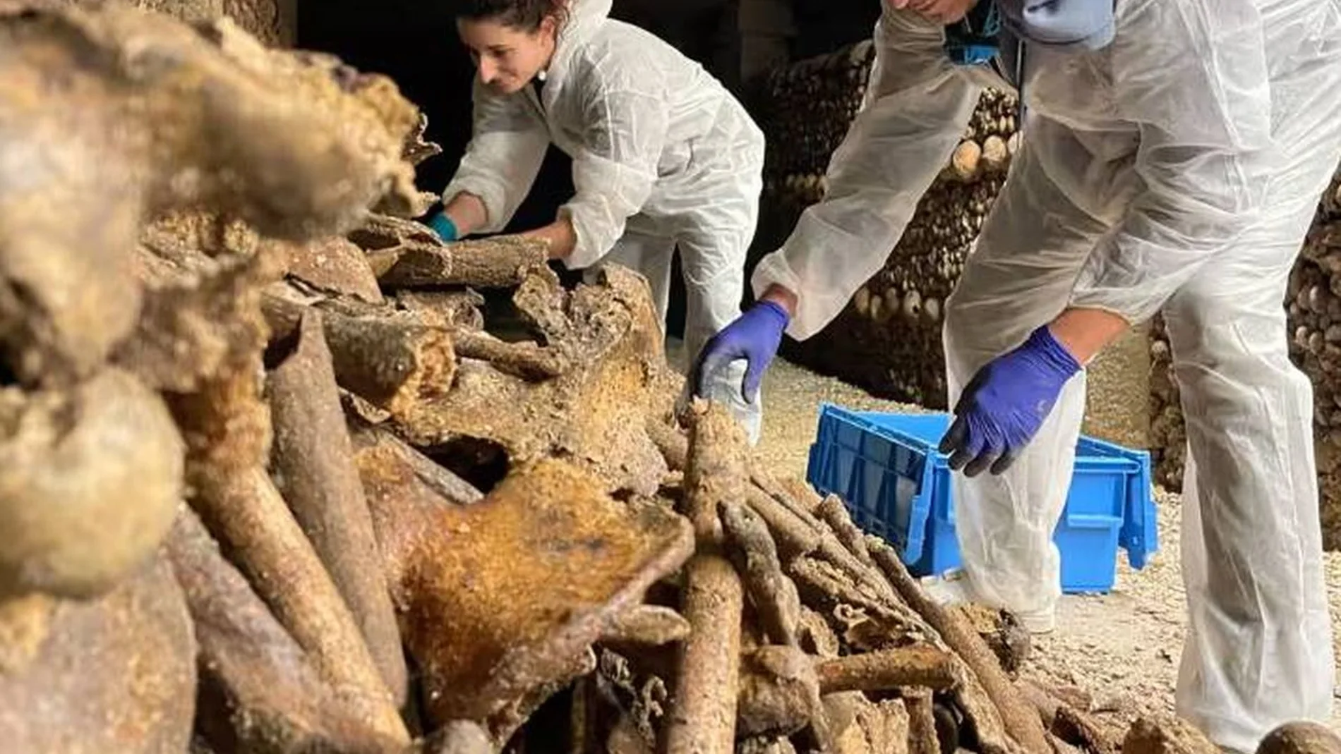 Investigadores recogen muestras en las catacumbas de París
