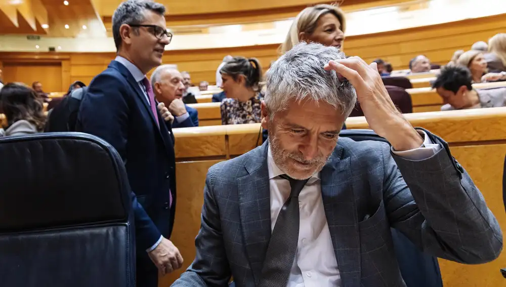 Marlaska comparece mañana en la 'comisión Koldo' del Senado por la posible conexión de Interior con la trama