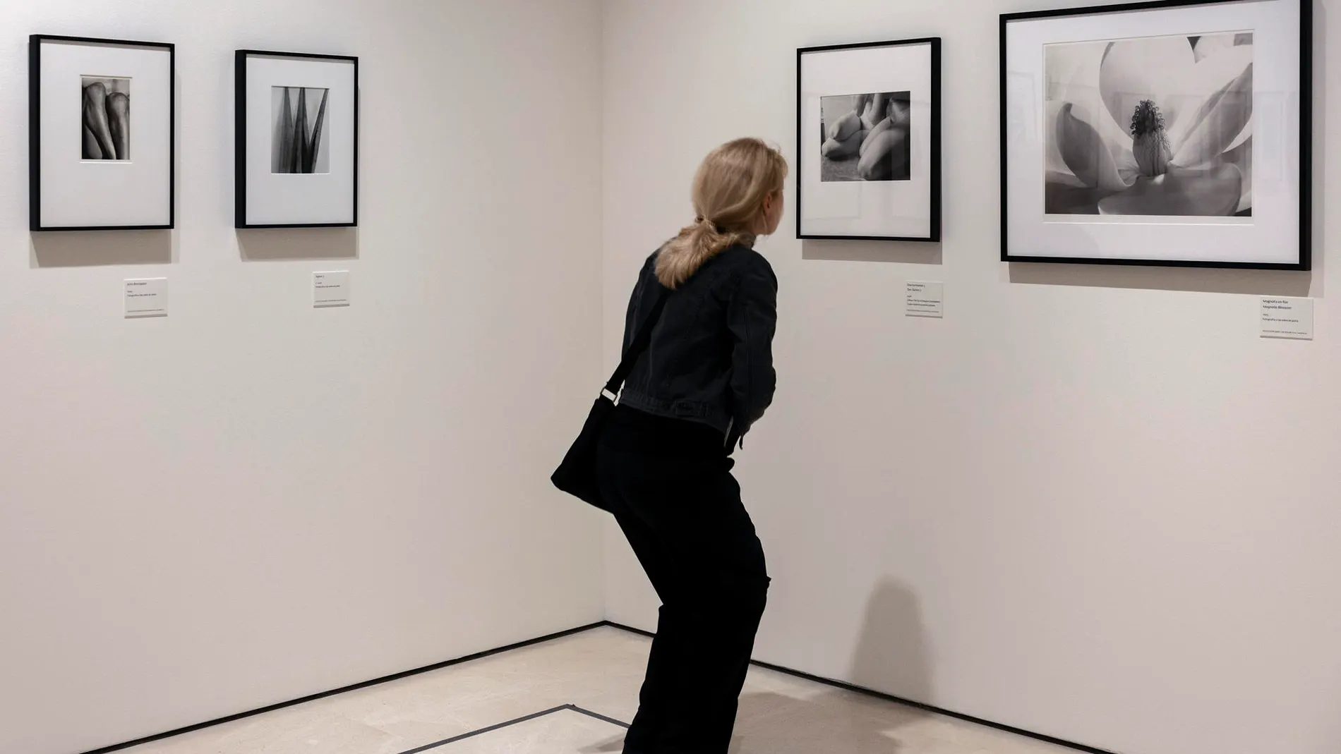 Una mujer visita la exposición temporal "Imogen Cunnigham Esencias" inaugurada este jueves en el Museo Carmen Thyssen Málaga. La muestra permanecerá abierta desde hoy 24 de octubre hasta el 19 de enero de 2025