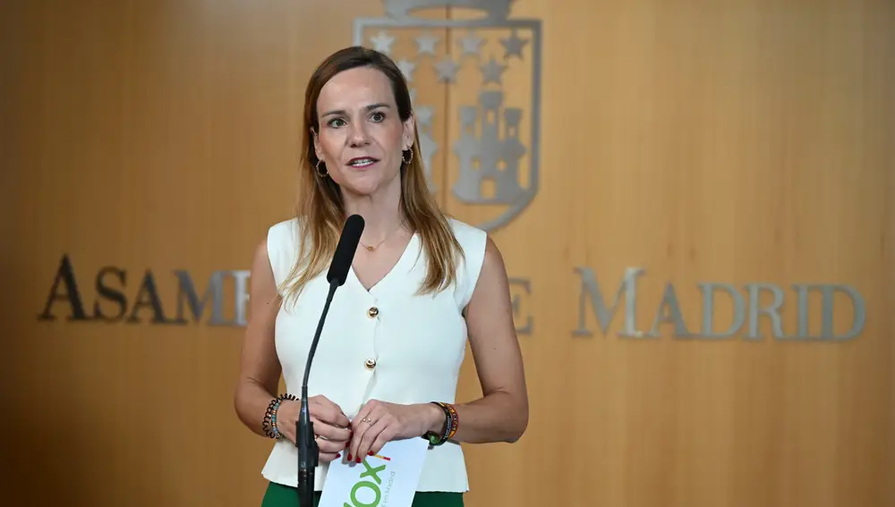 Pleno de la Asamblea de Madrid