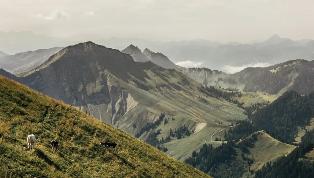 El queso de los Alpes suizos