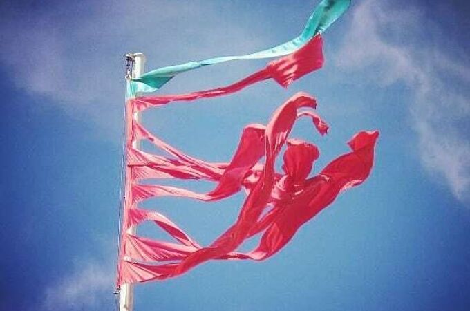 Bandera de Zamora