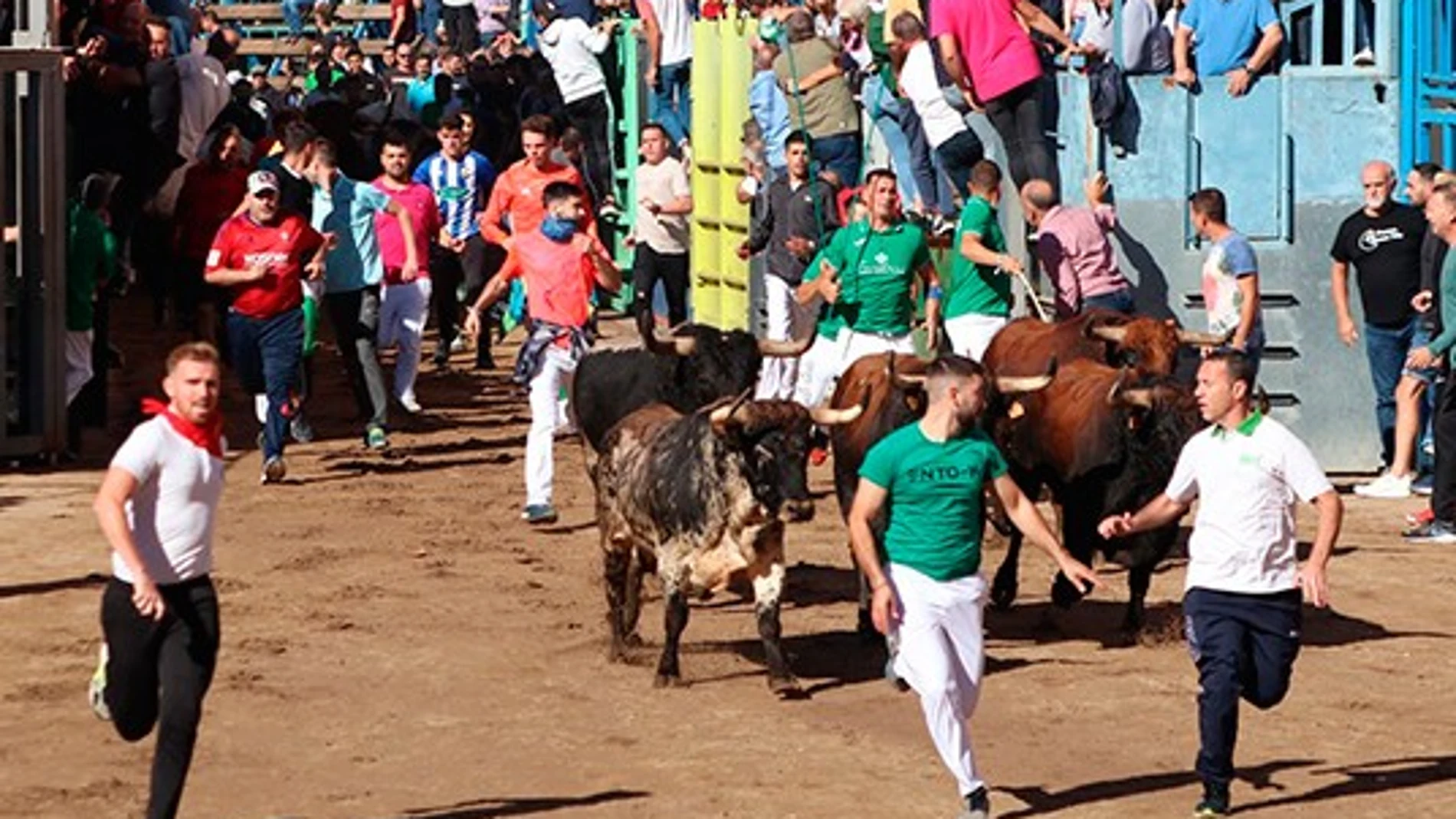 Á Punt televisó por primera vez un festejo taurino