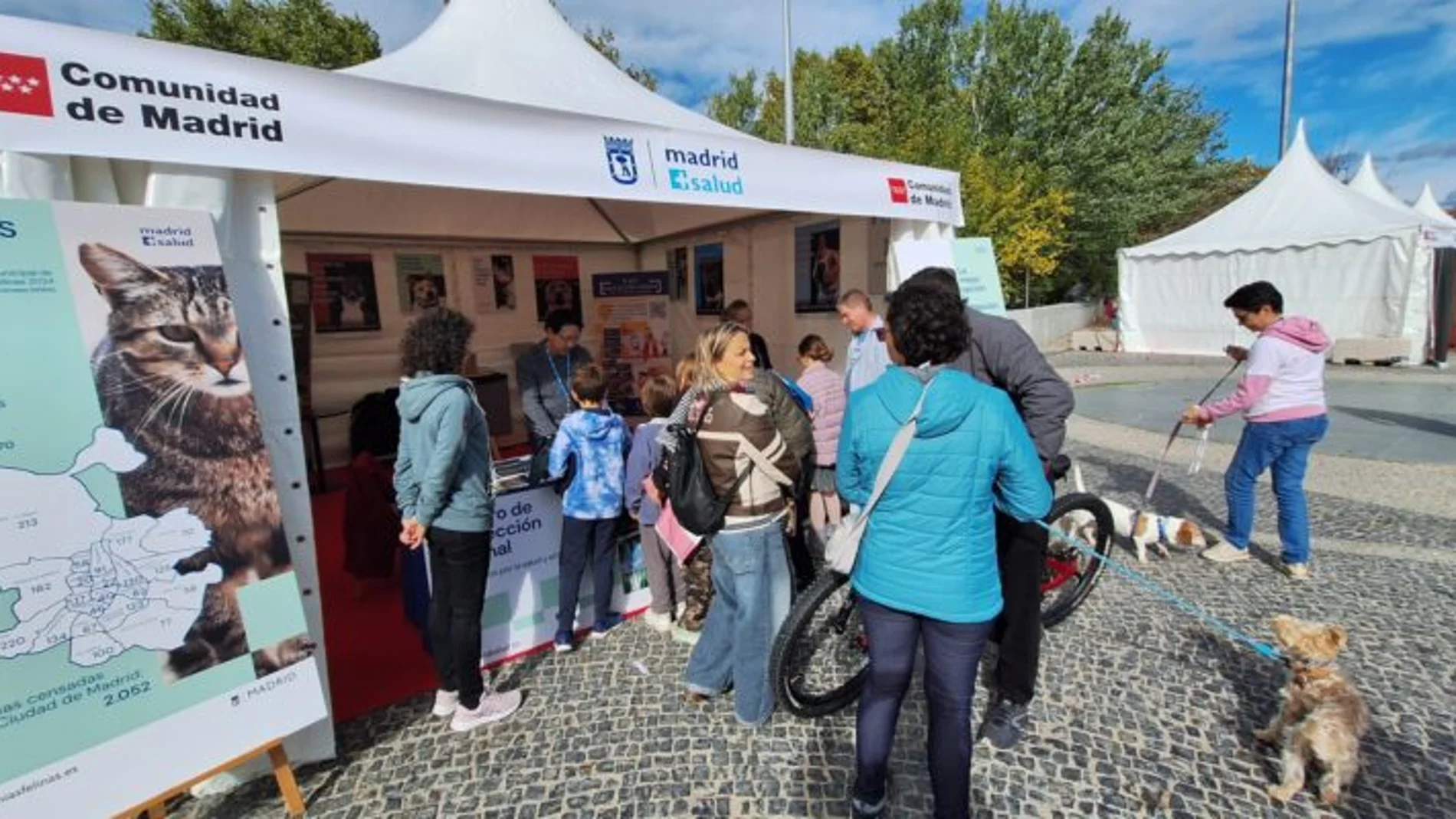 El Ayuntamiento de Madrid explica su gestión en el XIX Salón para la Adopción de Animales de Compañía