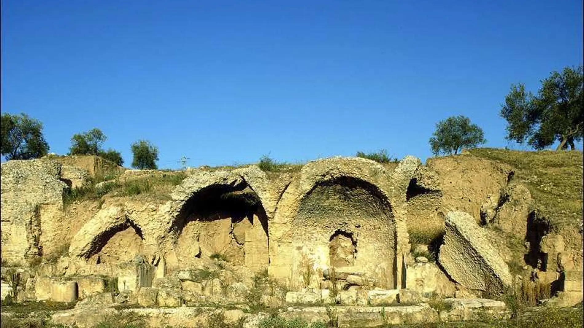 "Mujer de perfil": restaurarán un fragmento del espectacular y desconocido yacimiento romano de Arva en Alcolea del Río