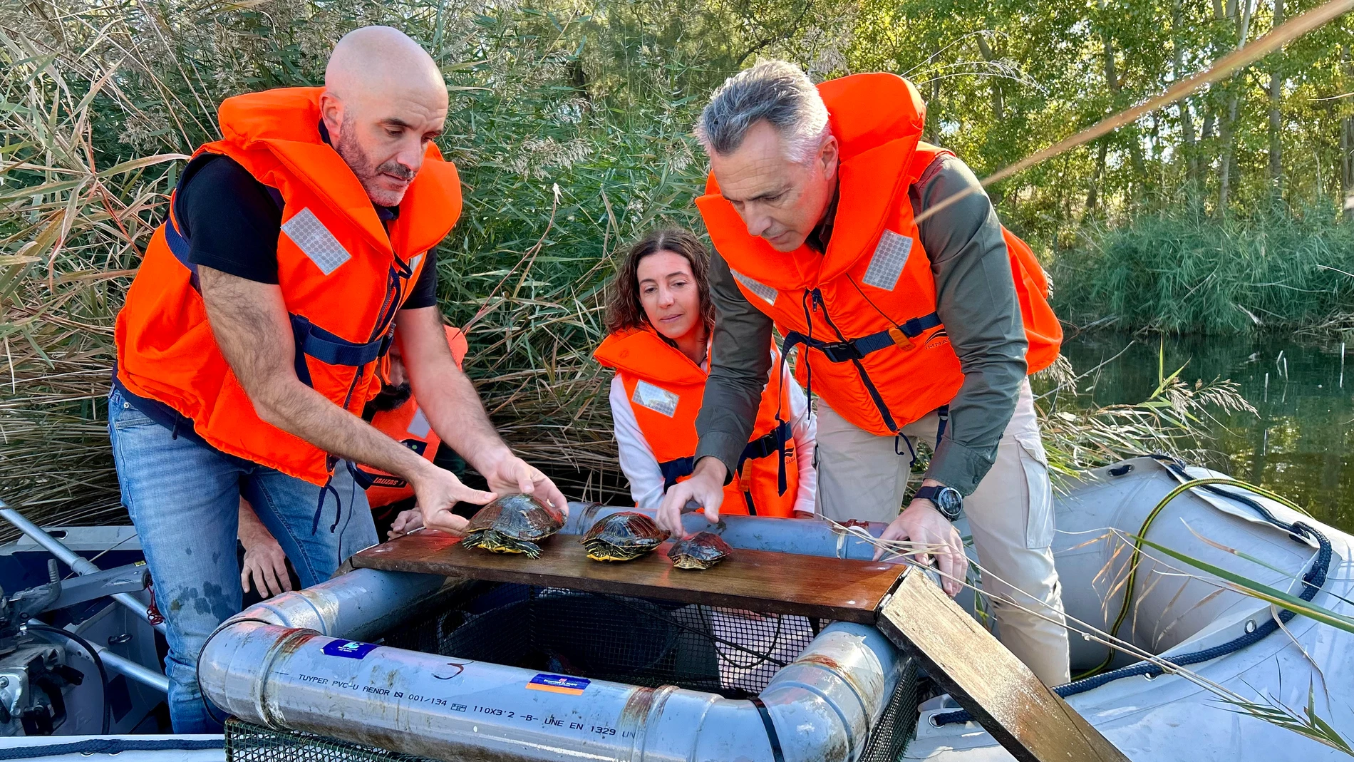 Espacio minero reconvertido y especies invasoras