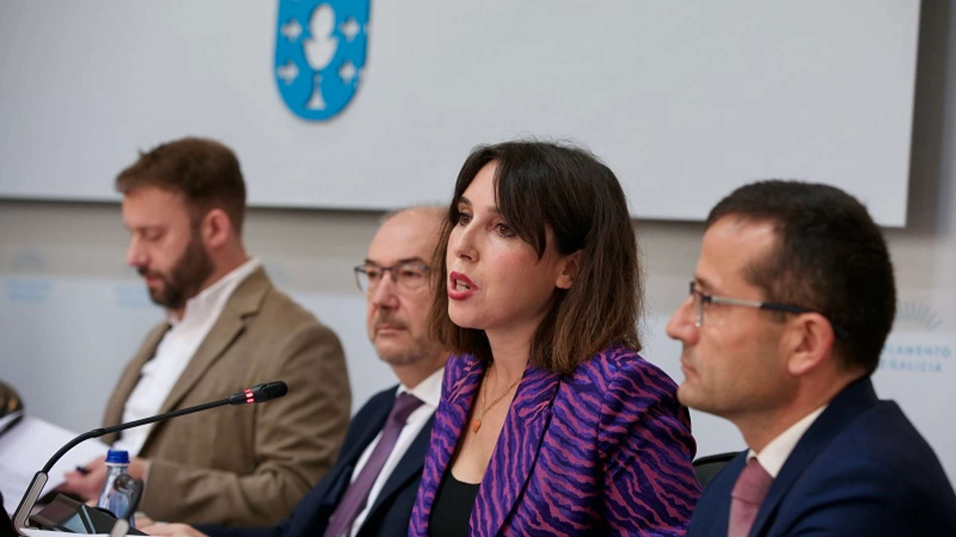 La conselleira de Economía e Industria, María Jesús Lorenzana, hoy en su comparecencia.