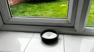 Se insta a los hogares a colocar cuencos de sal detrás de las cortinas en marzo Se insta a los hogares a colocar cuencos de sal detrás de las cortinas en marzo