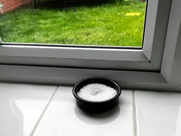 Se insta a los hogares a colocar cuencos de sal detrás de las cortinas en marzo Se insta a los hogares a colocar cuencos de sal detrás de las cortinas en marzo