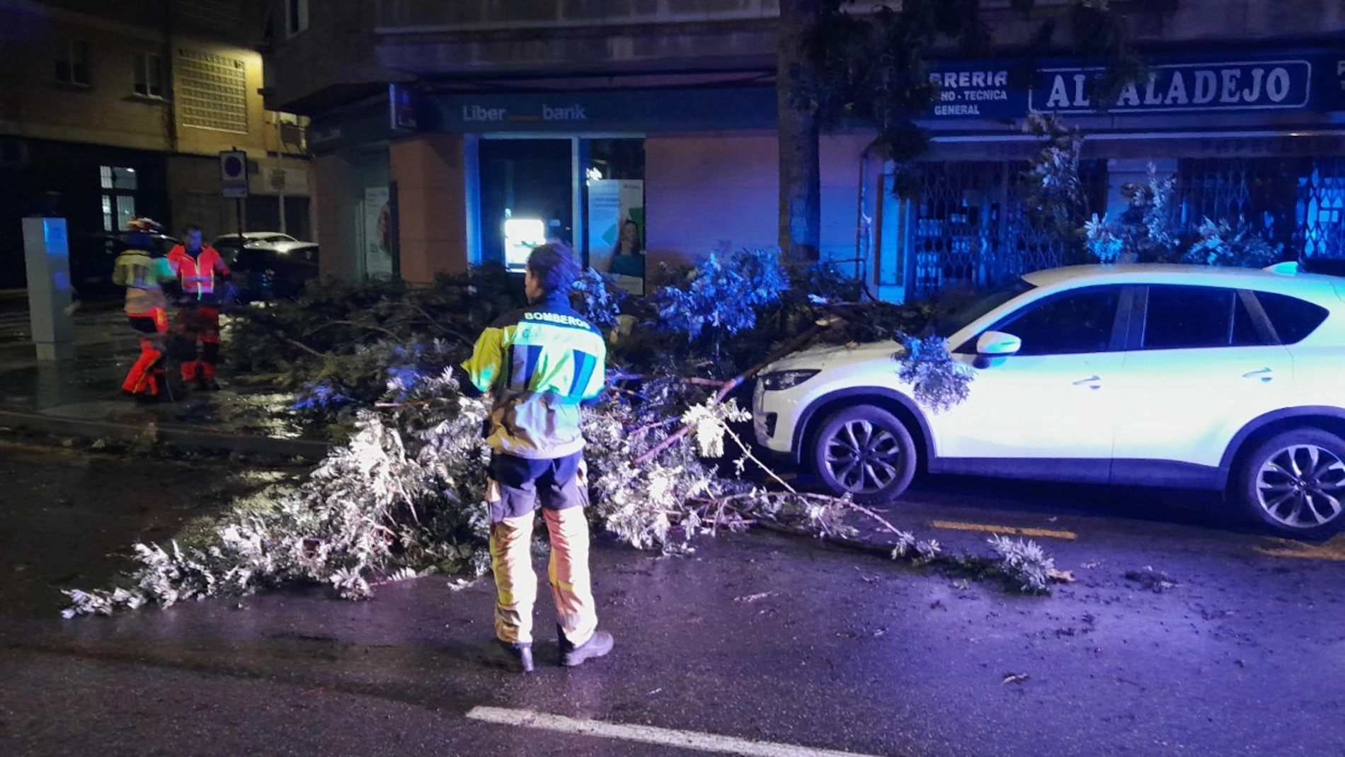 Bomberos retirando ramas de árboles caídas REMITIDA / HANDOUT por AYUNTAMIENTO DE CARTAGENA Fotografía remitida a medios de comunicación exclusivamente para ilustrar la noticia a la que hace referencia la imagen, y citando la procedencia de la imagen en la firma 29/10/2024