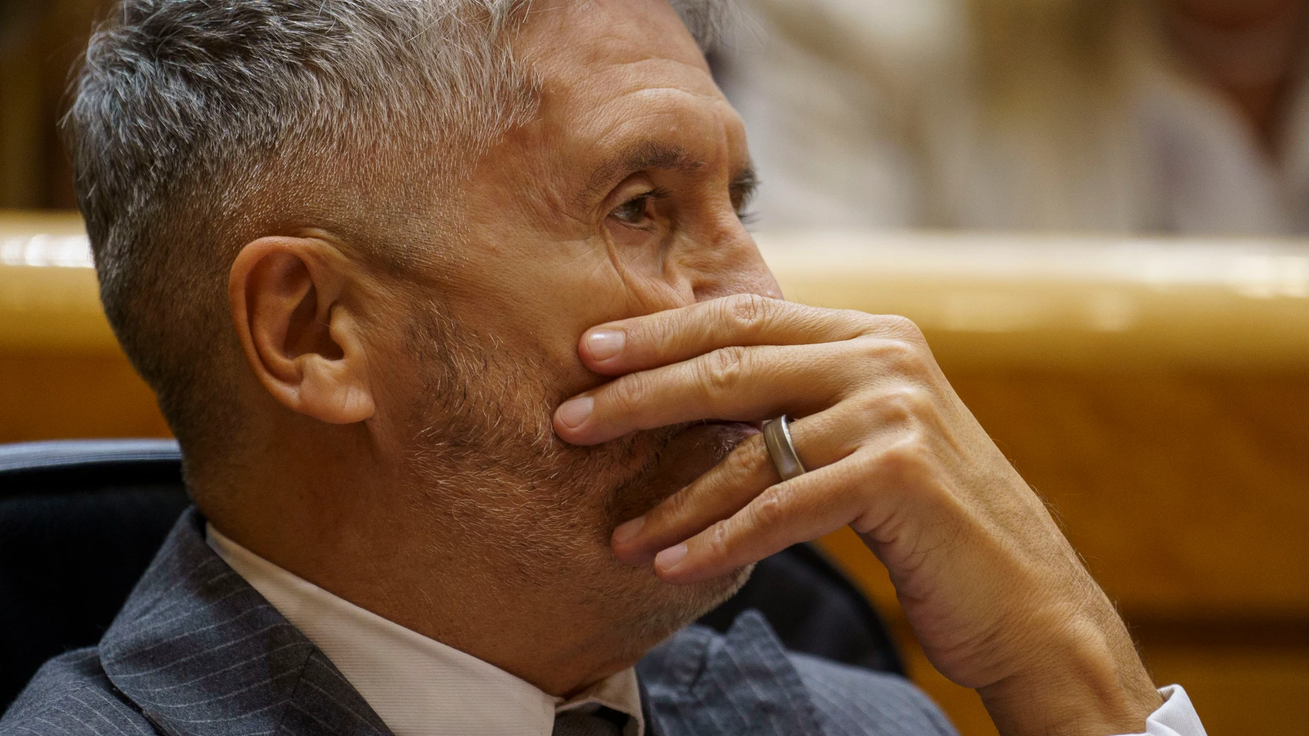 Pleno del Senado