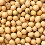 Las legumbres son un gran aliado en nuestra alimentación saludable y tiene una gran cantidad de beneficios para la salud