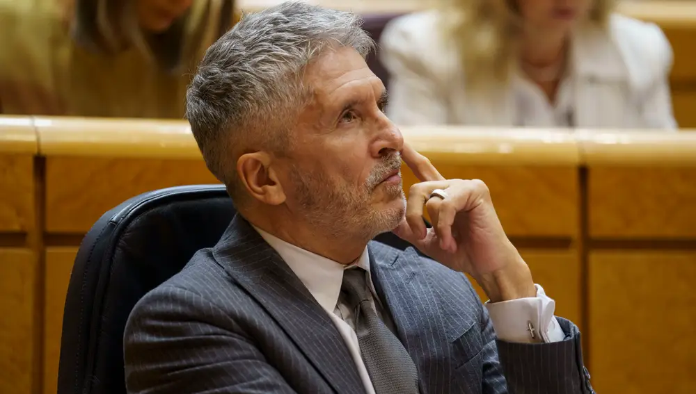 Grande-Marlaska en el Pleno del Senado. David Jar