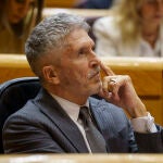 Grande-Marlaska en el Pleno del Senado. David Jar