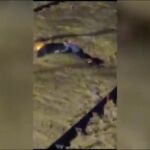 Los valencianos atestiguan el trágico paso de la dana por la Ribera alta