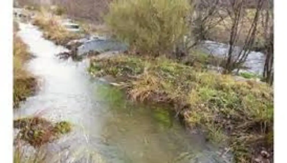 Río Eria a su paso por Truchas