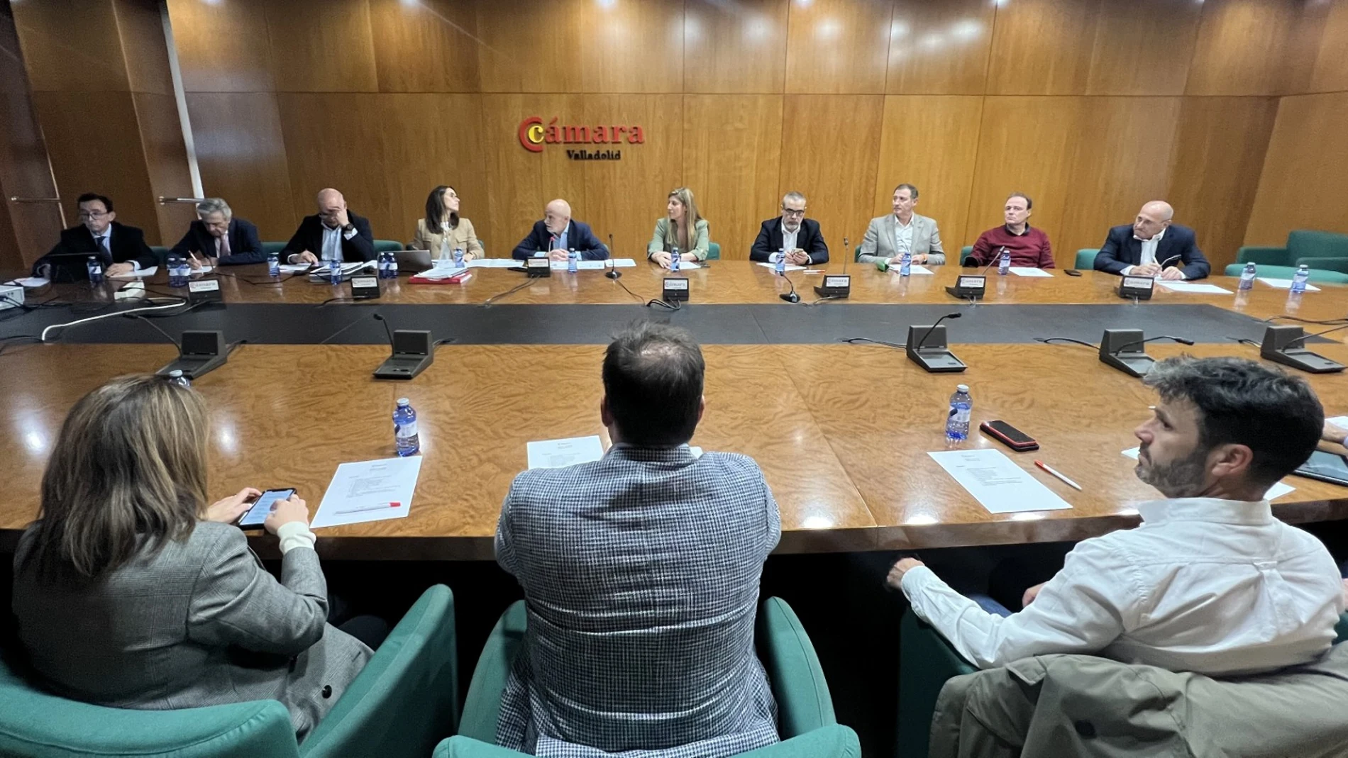 Pleno de la Cámara de Valladolid presidido por Víctor Caramanzana