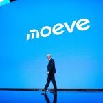 El consejero delegado de Moeve, Maarten Wetselaar