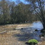 El río Eria a su paso por la provincia de León todavía hoy arrastra alguna pepita de oro