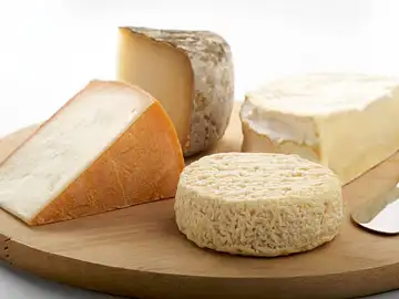 Quesos Quesos