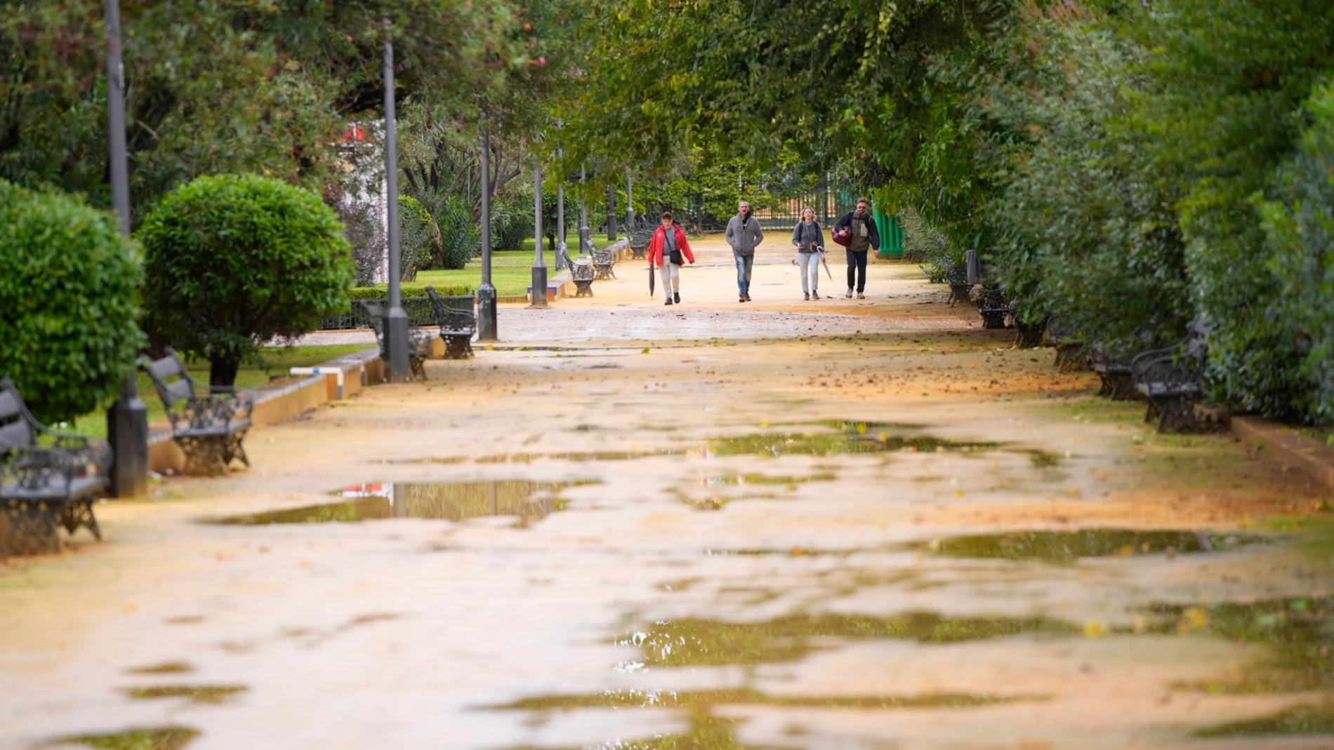 Jardines de Murillo tras la lluvia. Las fuertes lluvias han afectado el acceso a la Feria del Libro de Sevilla que permanecerá cerrada. A 31 de octubre de 2024, en Sevilla (Andalucía, España). Ascienden a más de 600 las incidencias ocasionadas por el temporal en Andalucía El Centro de Coordinación de Emergencias (Cecem 112) ha gestionado un total de 604 incidencias hasta el momento por el temporal que azota desde la noche del pasado lunes en la comunidad andaluza, sin que hasta el momento hay...