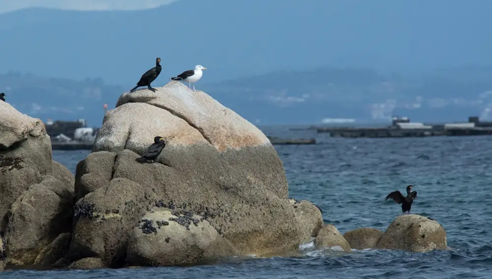 Ecosistema de Corrubedo.