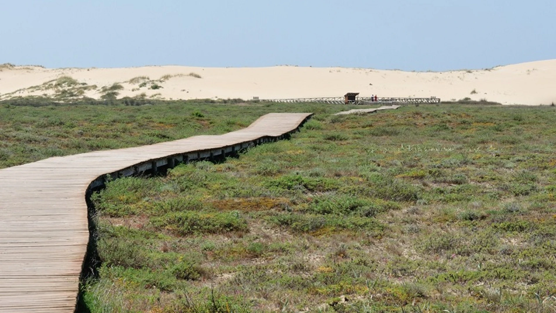 Dunas de Corrubedo.
