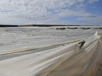 Un invernadero de El Ejido (Almer&iacute;a) afectado por la DANA que est&aacute; atravesando Espa&ntilde;a