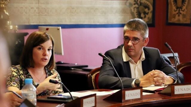 Elejabarrieta (EH Bildu) asume este viernes la portavocía del grupo que comparte con ERC en el Senado