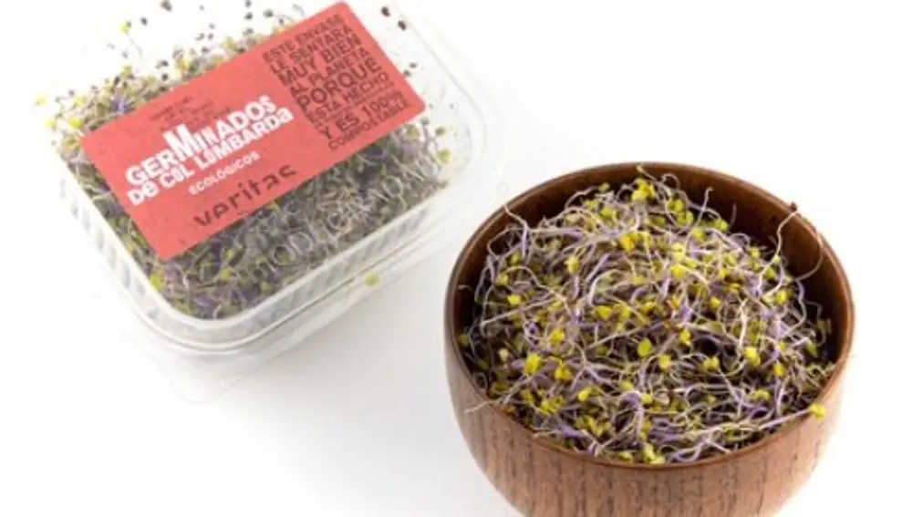 Germinados de col lombarda