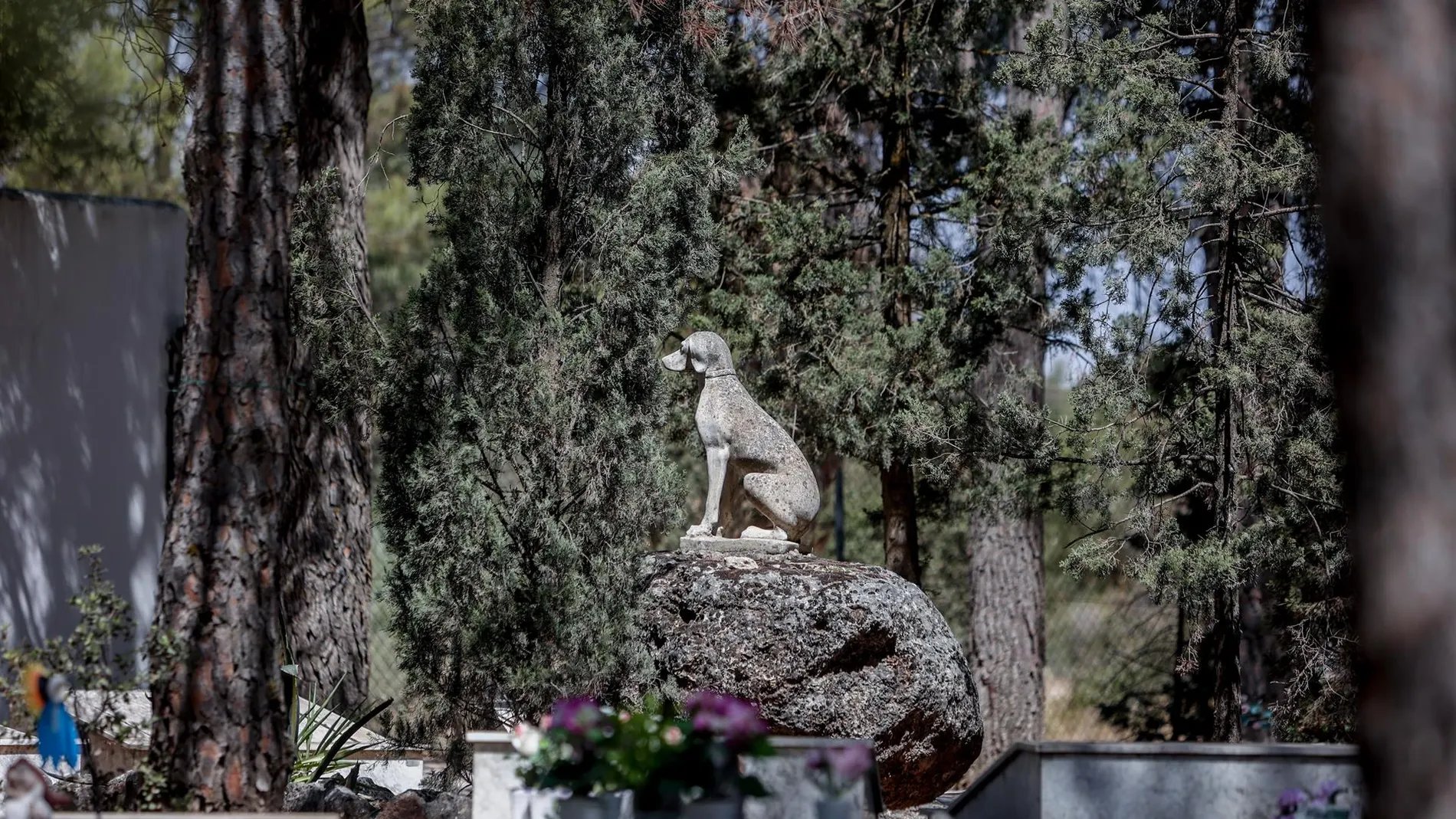 MADRID.-El Último Parque', único cementerio de mascotas de Madrid, ofrece servicios que van desde 300 a los 6.000 euros