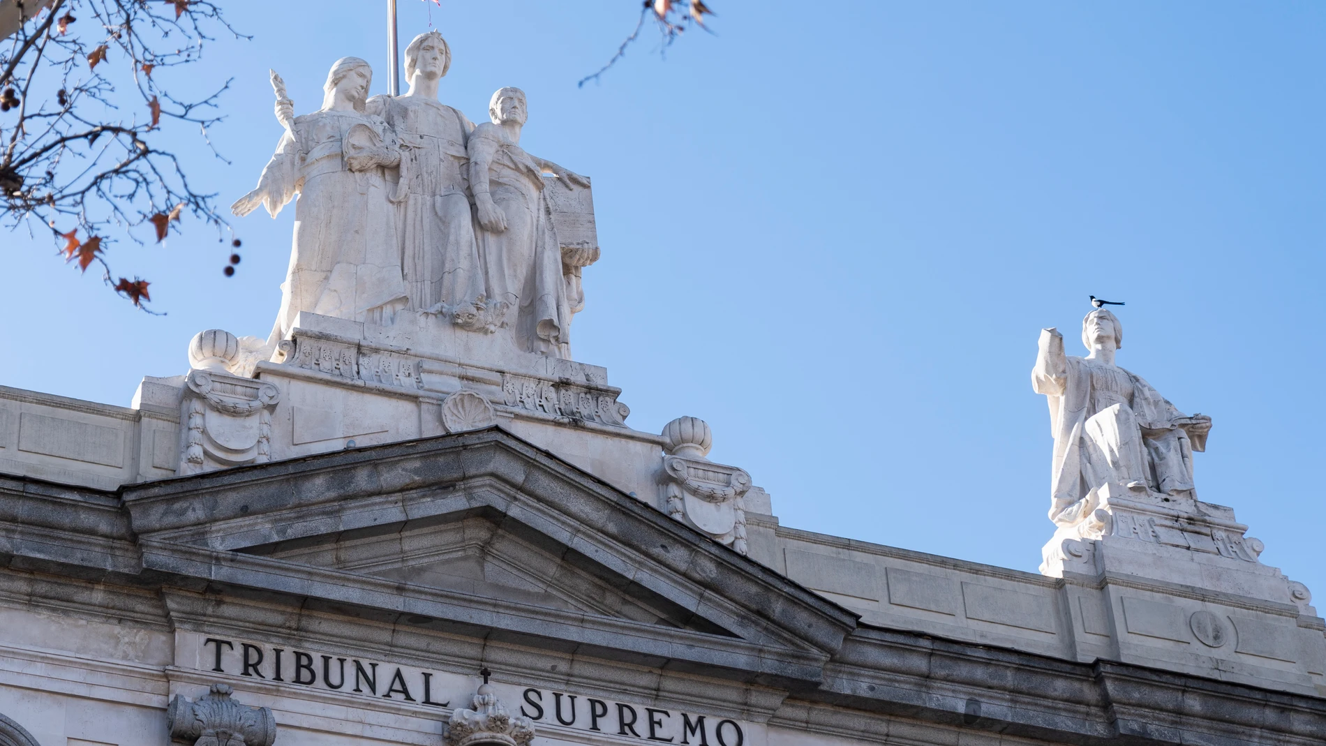 Tribunal Supremo