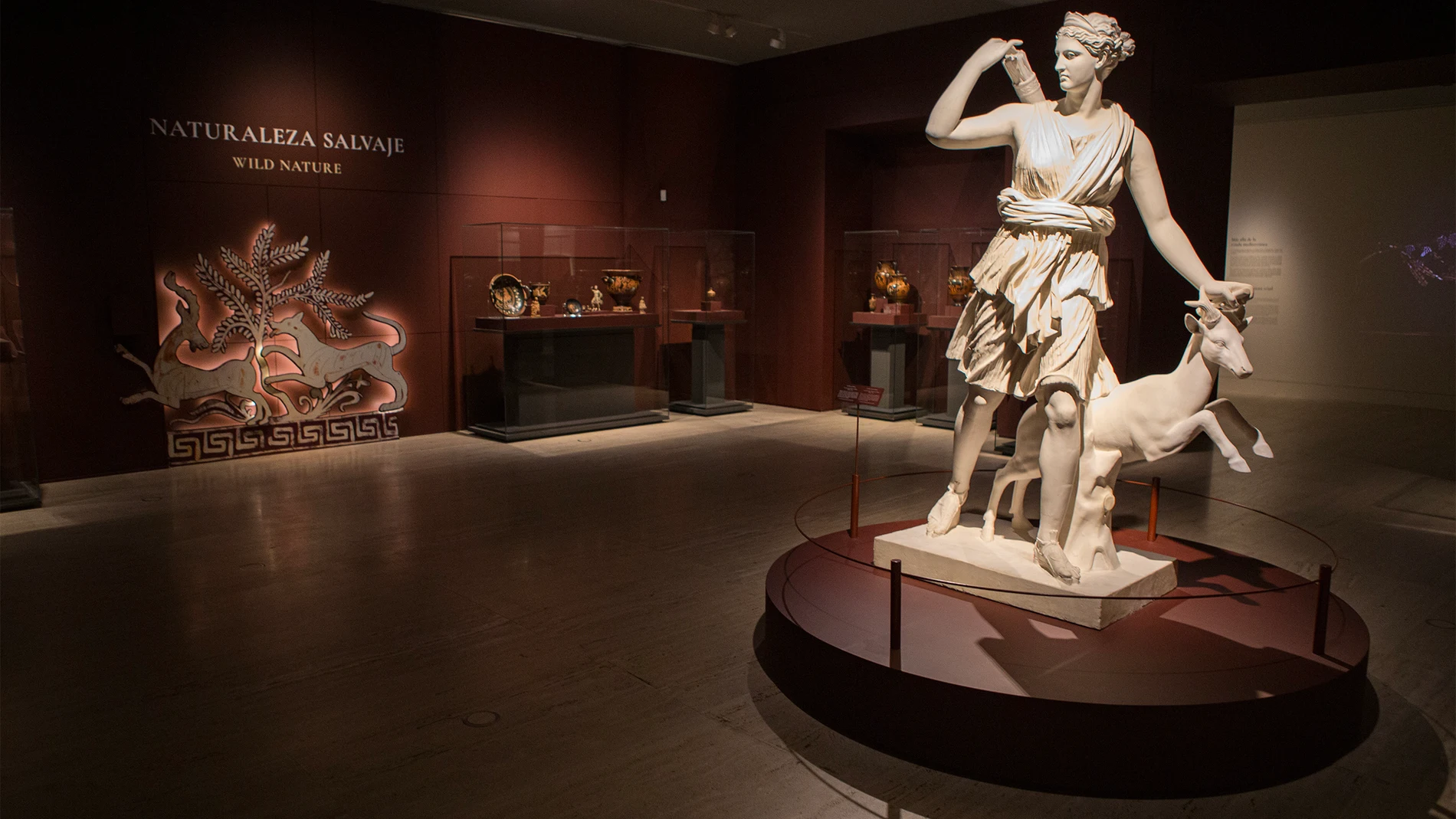 El Museo Arqueológico dedicará sus salas temporales a la naturaleza hasta finales de marzo